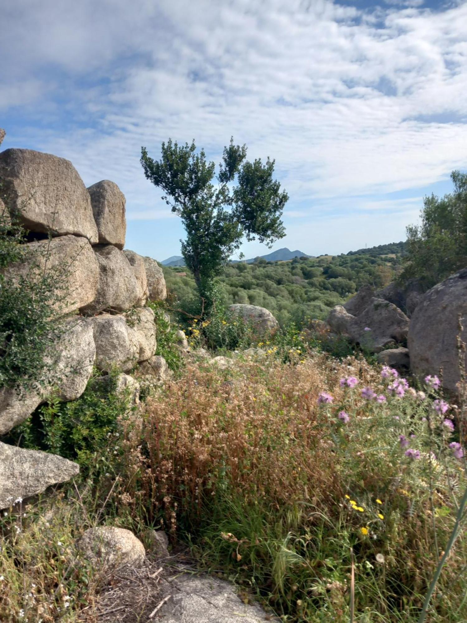 Beth La Casa Della Luna Annunziata  Buitenkant foto